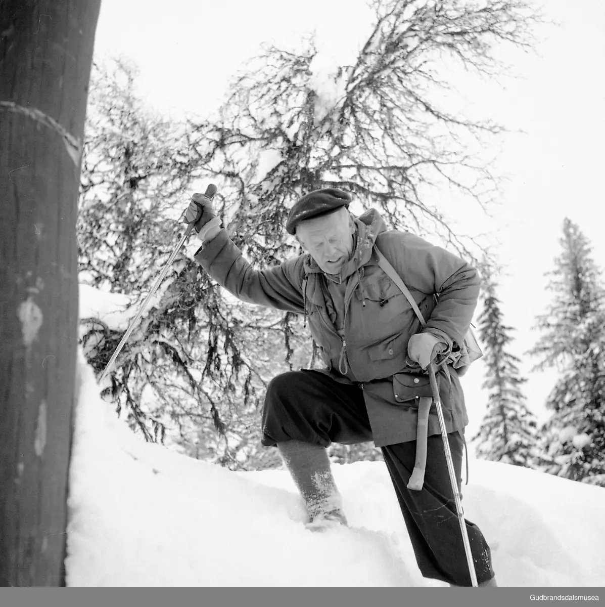 Aktuelt. Skipsreder Knud Lauritzen. Utebilder