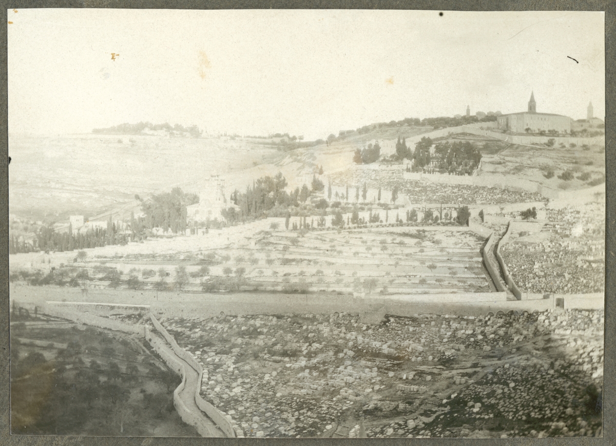 Bilden visar den judiska kyrkogården på Olivberget i Jerusalem.