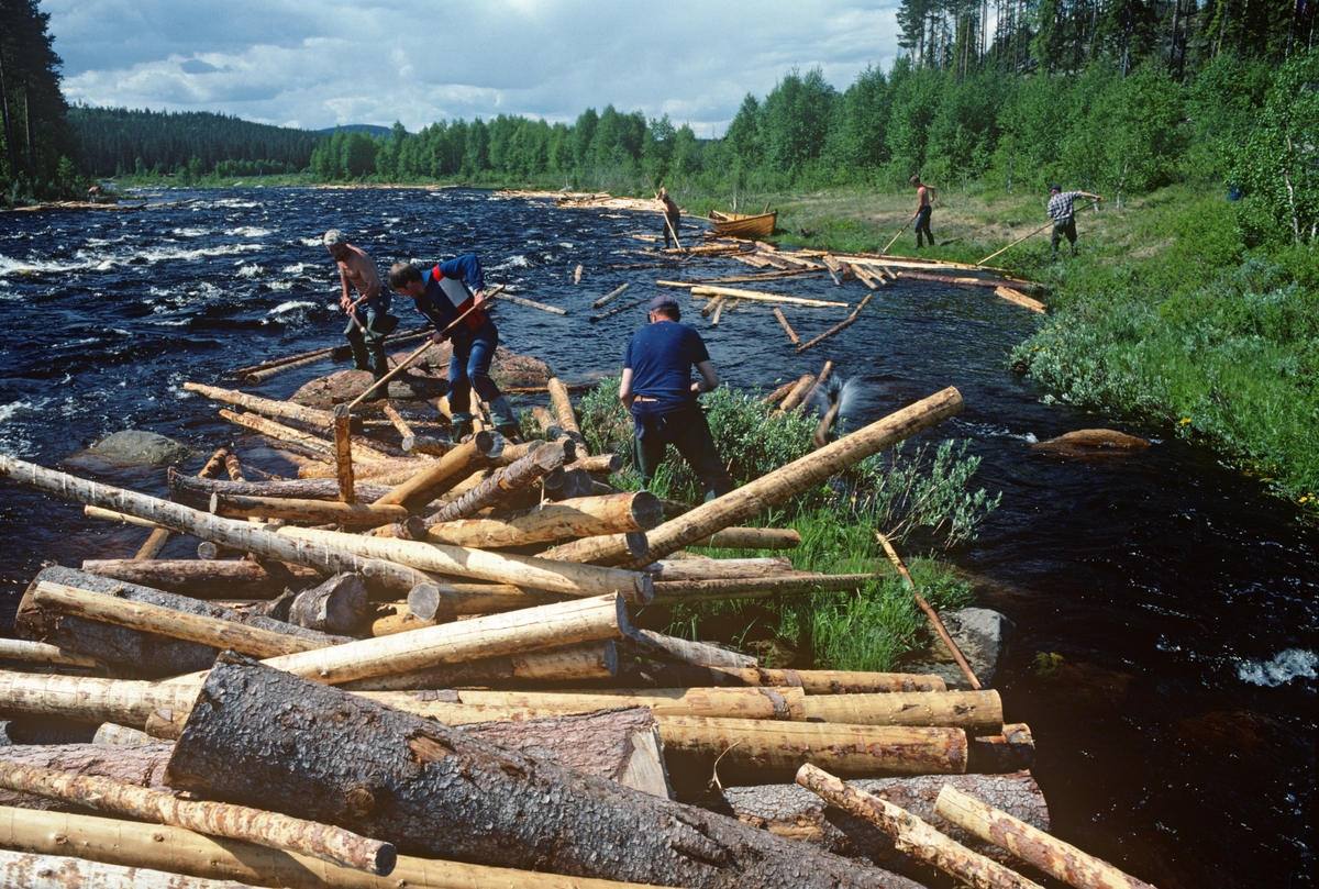 Fløting i elva Store Grøna i Trysil i juni 1985. På dette tidspunktet var vassdraget flomstort. I forgrunnen ser vi tre fløtere i arbeid på en liten holme i elveløpet. Arbeidet besto i at de trakk eller skjøv tømmerstokkene fra holmen og ut i det strømmende elvevannet. Fotografiet tyder på at de startet nedenfra og arbeidet seg oppover (motstrøms). Litt lengre nedover langs elveløpet skimter vi flere fløtere som gikk langs elvebredden for å skyve stokker som hadde lagt seg mot land ut i elvefaret igjen. Her lå det også en robåt som kunne være god å ha når karene måtte ta seg ut til hauger (tømmervaser) som hadde bygd seg opp i den sentrale delen av elveløpet.