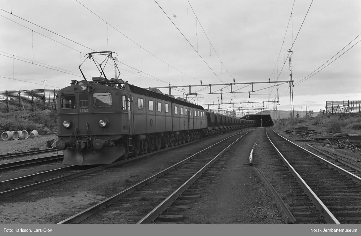 Svensk elektrisk lokomotiv Dm 12303 med malmvogner på Vassijaure stasjon