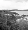 Utansjö Cellulosa AB, bildat 1897 på konsul Fritz Versteeghs förslag för att tillvarata klentimmer. Fabriken togs i drift i mars 1900. 1904 beskrevs fabriken enligt följande i försäkringspappren: Alla fabrikshusen äro uppförda av sten med gavelspetsar av sten och utan överskjutande taksprång av trä samt under tak av asfaltpapp.