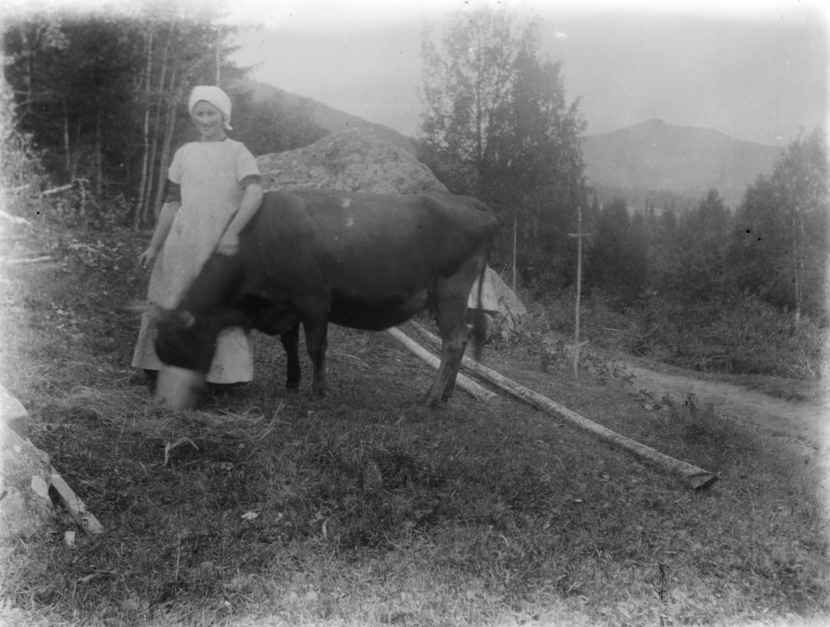 Fåberg, ved Elvebakken, Agnes Elvebakken vanner kua