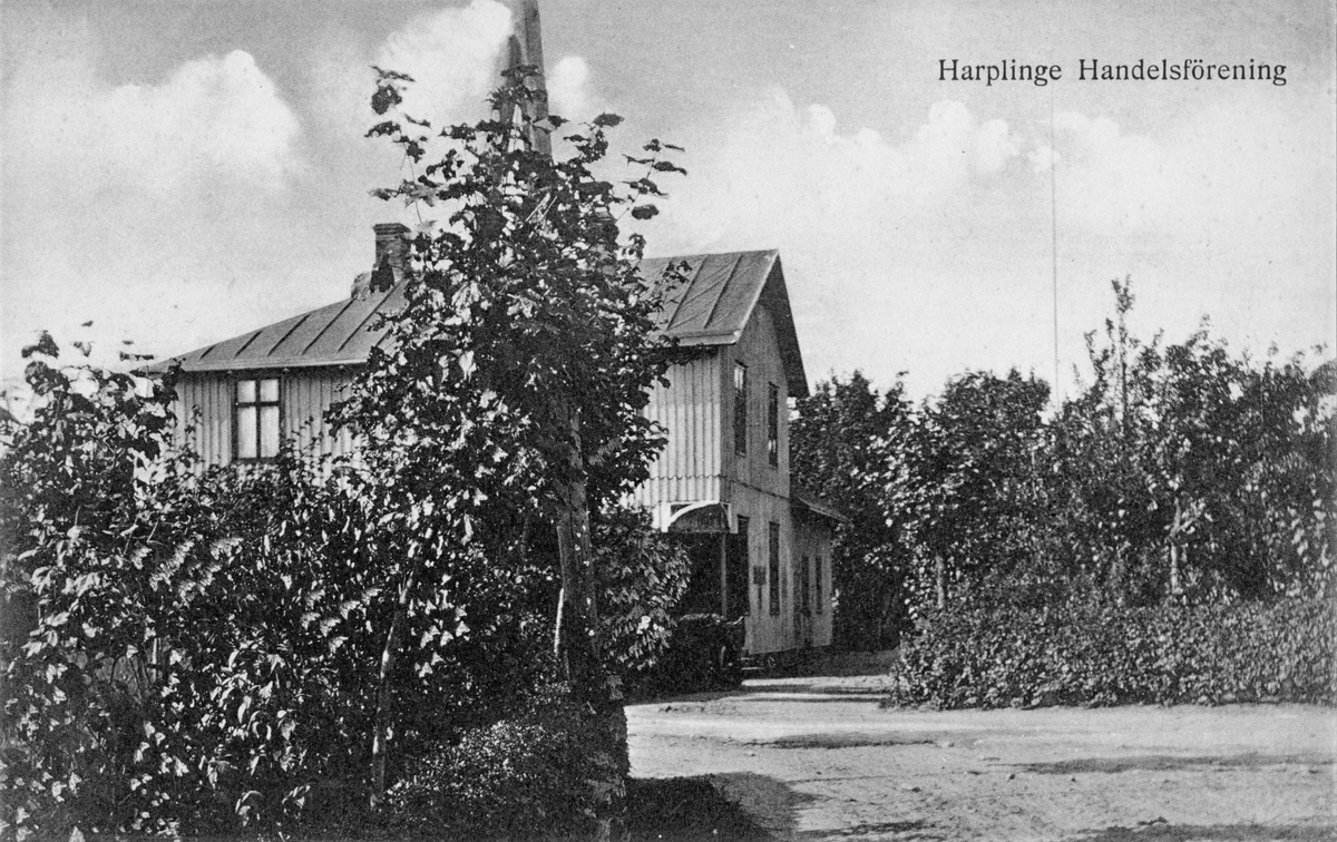 Vykort, "Harplinge Handelsförening". Infart till träbyggnad som till stor del döljs av buskage i förgrunden.