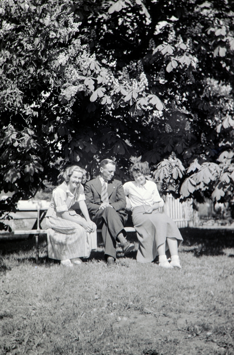 3 stk sittende på en hagebenk under et blomstrende kastanje tre i hagen på Nordre Ottestad. Tv Andrea Margrethe Glærum, f: Gjestvang (1914-1993), i midten Gustav Gjestvang (1906-1985), th Vera Moe, f: Hagness (1916-2009) i Oslo.  
Stange kommune. Begynnelsen av 1930-tallet.