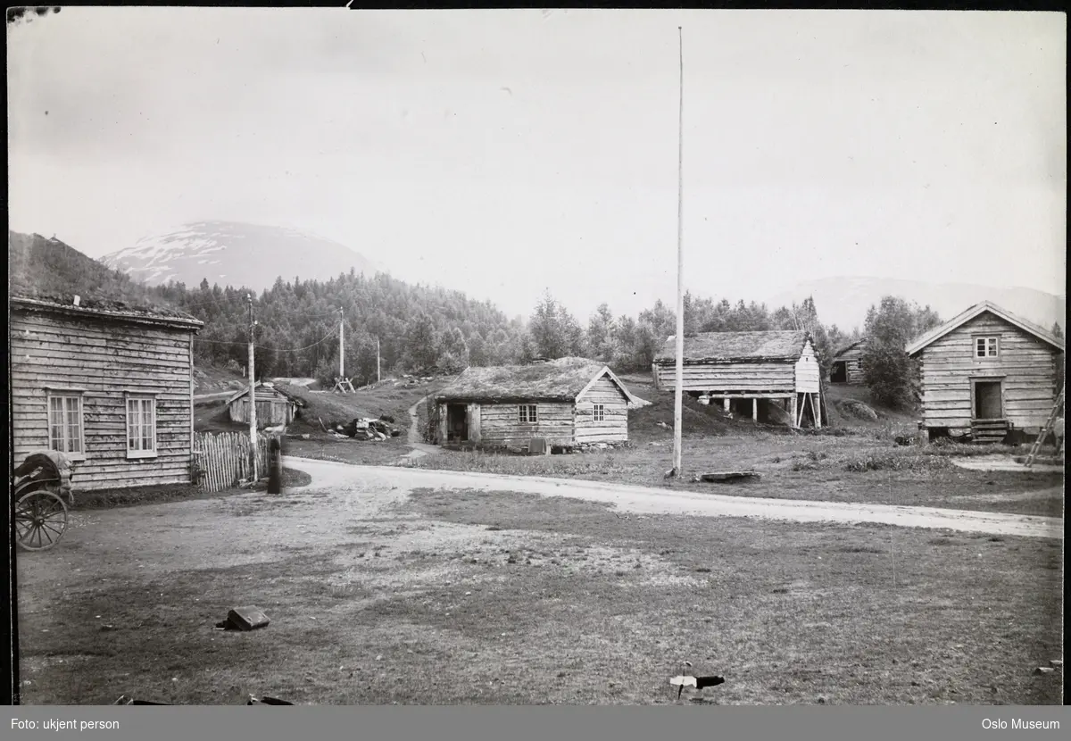 gård, tun, bolighus, uthus, flaggstang, skog, fjell