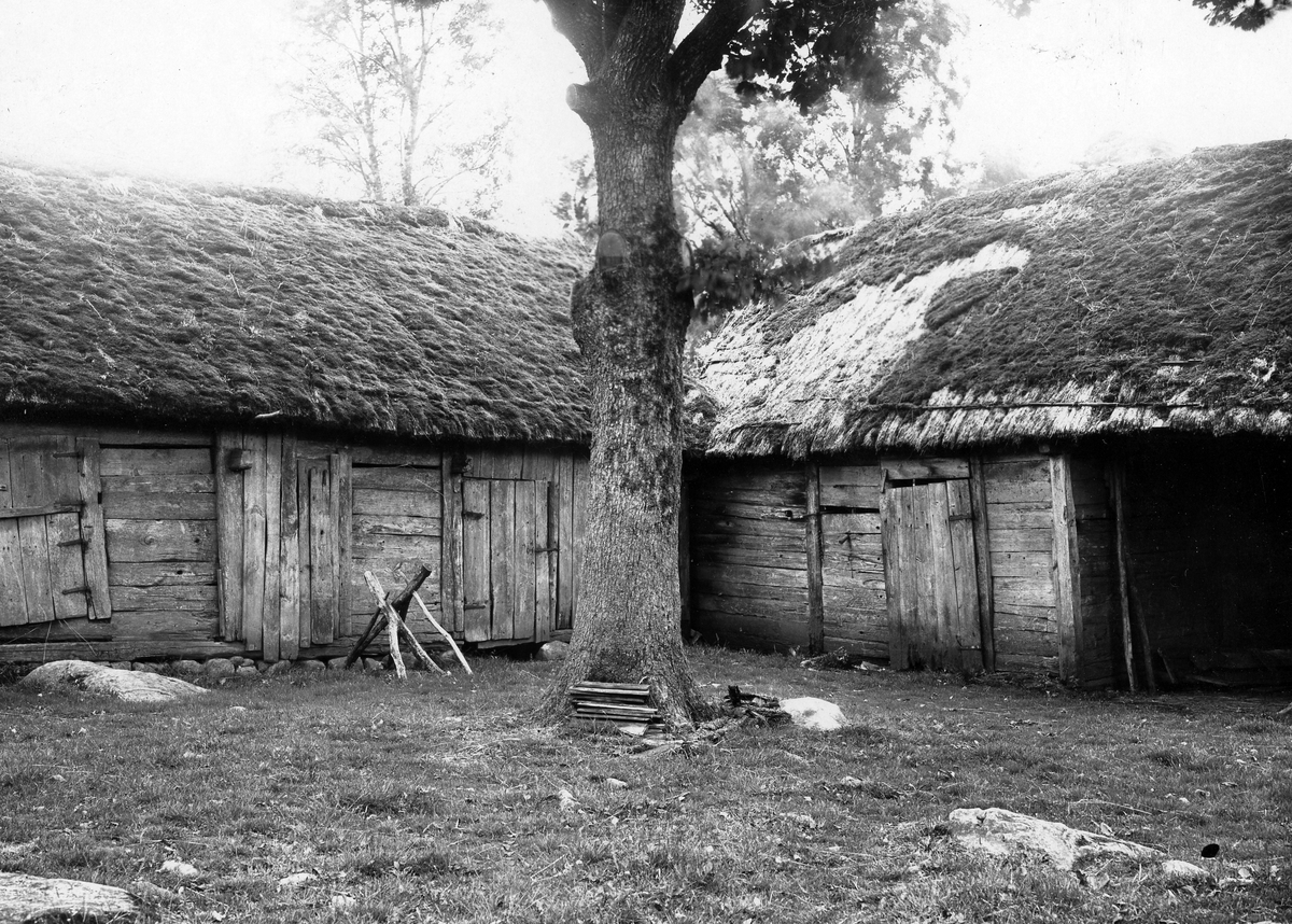 Knäreds sn. Tygared. Ryggåsstuga med lantgård.
