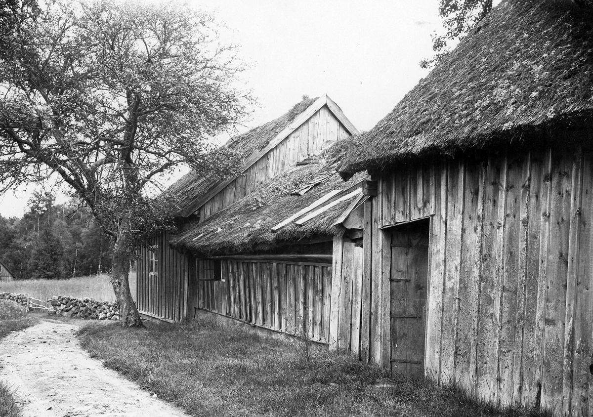 Knäreds sn. Tygared. Ryggåsstuga med lantgård.