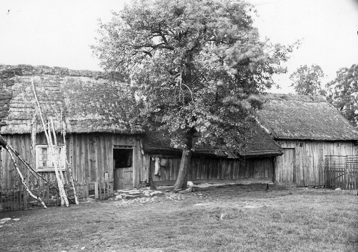 Knäreds sn. Tygared. Ryggåsstuga med lantgård.