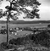 Nyland vid Ångermanälven, från Nylandsberget.