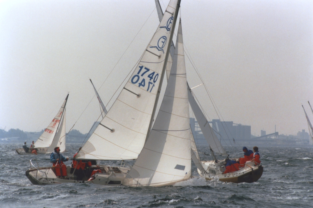 Kappsegling. Svenska Mästerskapet i IF-båt, Limhamn 1993.