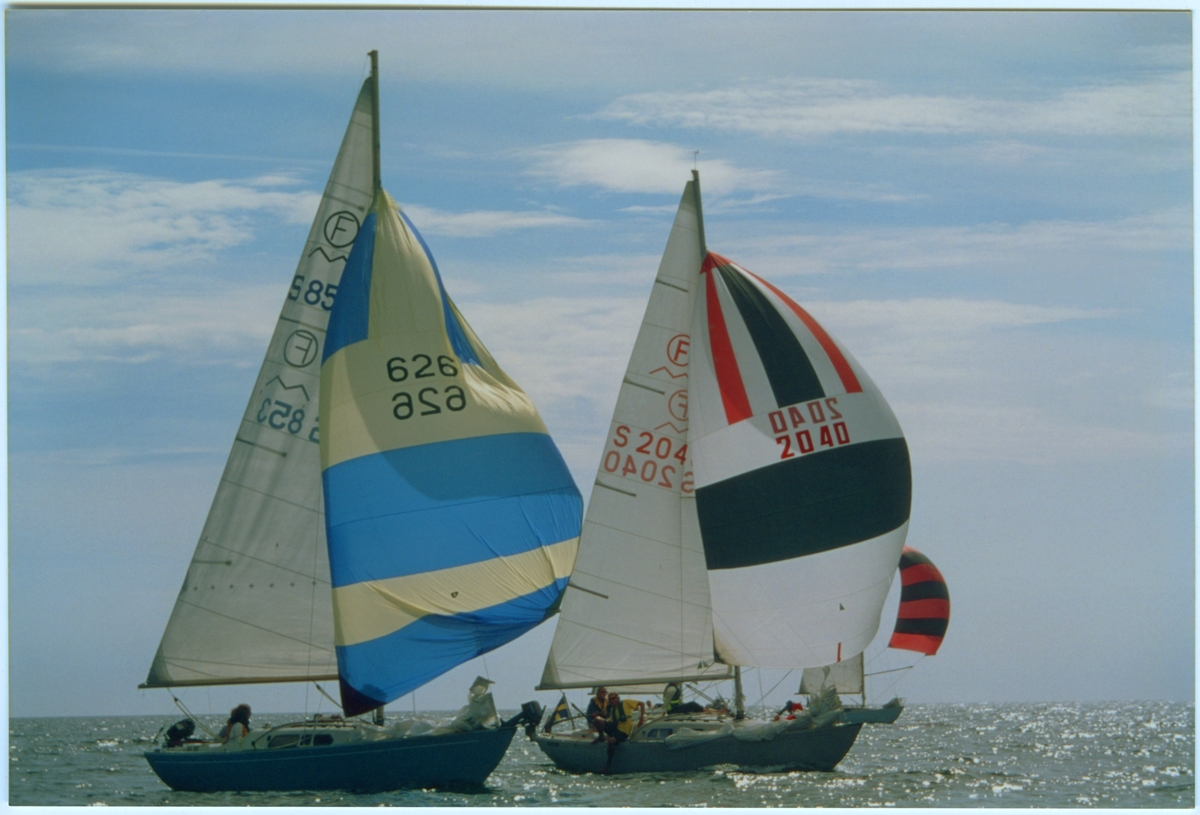 IF-båtar med med hissad spinnaker.