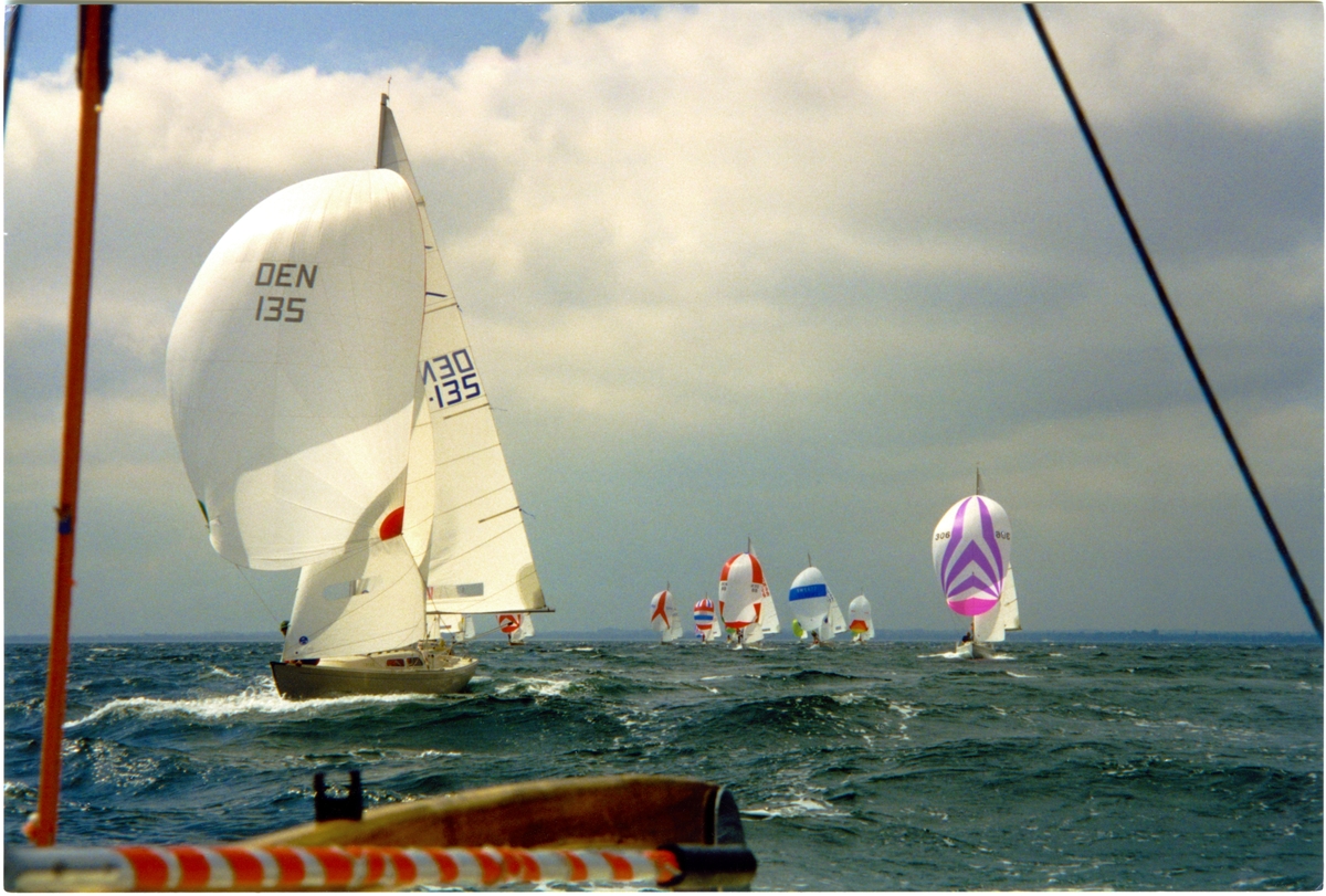 Kappsegling. Svenska Mästerskapen i IF-båt, Råå 8–12 juli 1998.