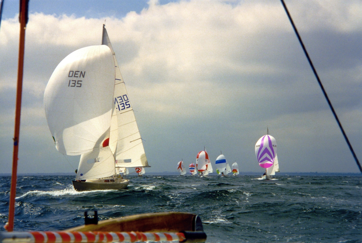 Kappsegling. Svenska Mästerskapen i IF-båt, Råå 8–12 juli 1998.