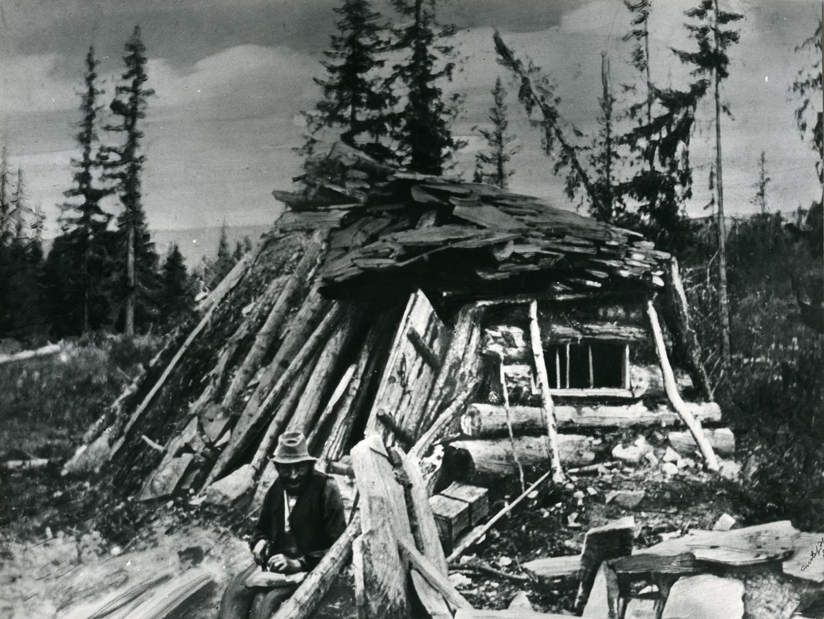 Bernts-Per (1836-1913) framfor "bryn-koia" i Tandådalen, på svensk side innafor Ljørdalen. Flere ljørdøler brøt bryner der. De ble solgt på Røros-marten, Grundset-marten osv.