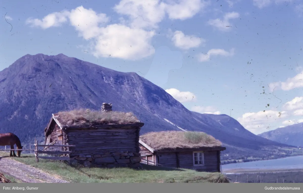 Skjæsar 37/1, Lom 1963