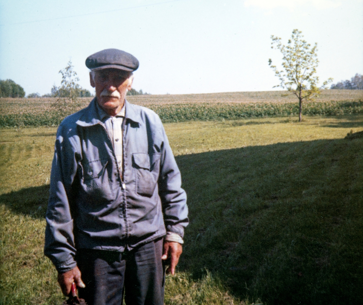 Karl Tangnes (f: 1882 - d: 1971 )  jobbet på slutten av sitt yrkesaktive liv som deltidsgartner på Hverven gård i Ottestad. Etter først å ha jobbet på samme sted som stallkar i mange år.