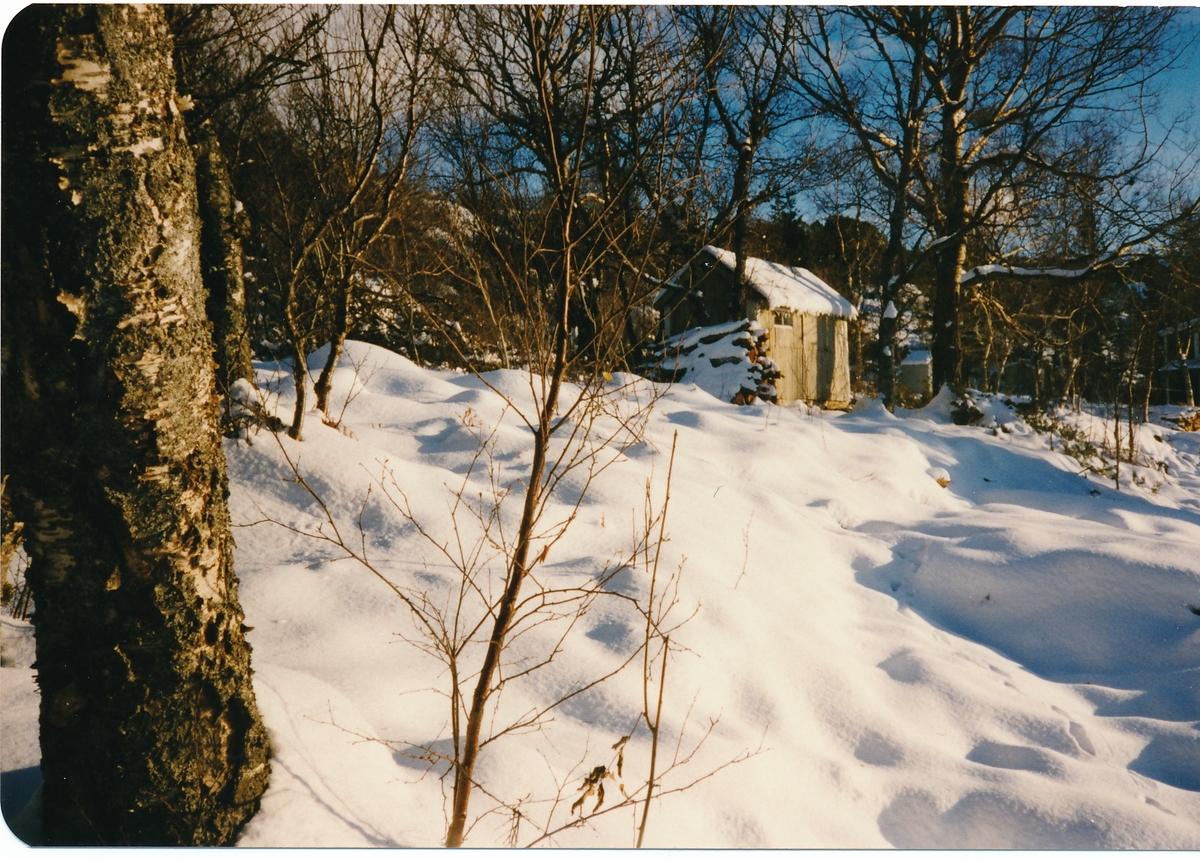 Finnjorda, Skrolsvik