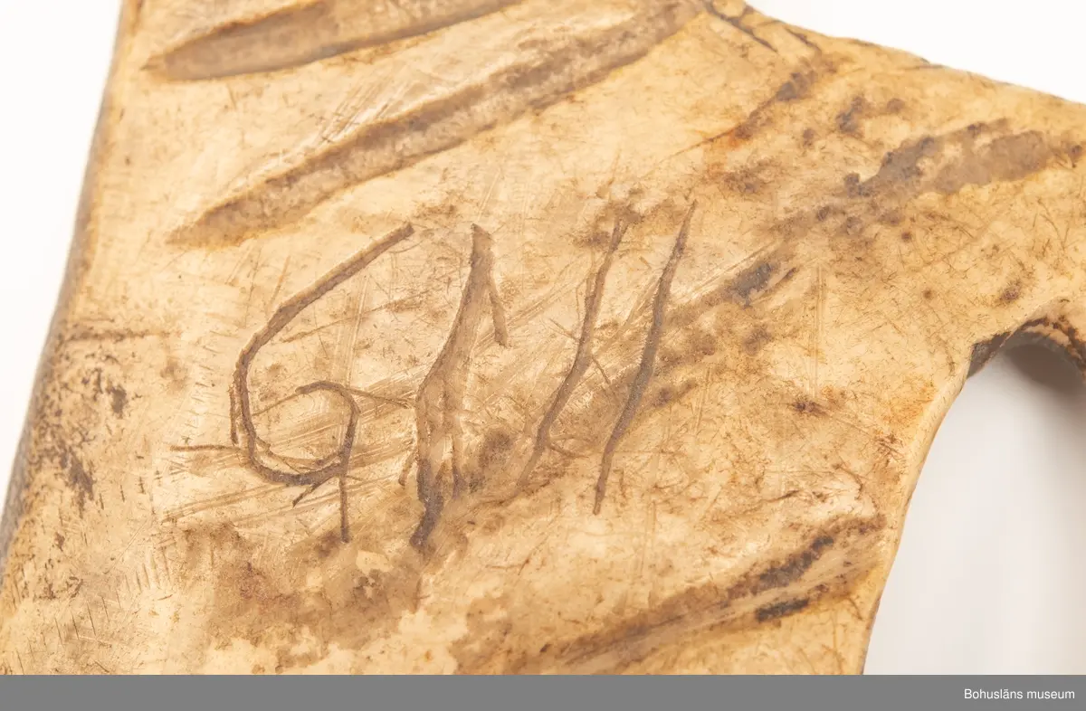 Skiva med tre avlånga urtag att fästa remmar i.
Mittpå en av sidorna är siffrorna "1119" inristade (kan vara år-talet "1779"?).
Har mörknat på grund av användning.

Ur handskrivna katalogen 1957-1958:
Remskiva av ben (för seldon)
Mått: 15,5 x 11 cm; (teckning) 3 fästen f. remmar; "1119". Hel.

Svar på förfrågan kring föremålen UM003945, UM004440, UM004441, UM004442 till Ajttemuseet, Jokkmokk januari 2007, som skriver:
Vi uppfattar inte föremålen som direkt samiska, inte heller i gravyren. Visst har det funnits bofasta samer, så det kan vara möjligt, men ofta hade de också renar för transport. 
Enligt Stig Harry Johansson, tärnaby som besökte museet 17/3 1988 är föremålet tillverkat av älg eller renhorn.

Lappkatalog: 40

Litt.; Nylén, Anna-Maja, Hemslöjd, Håkan Ohlssons förlag, Lund, 1978, s. 396-401.