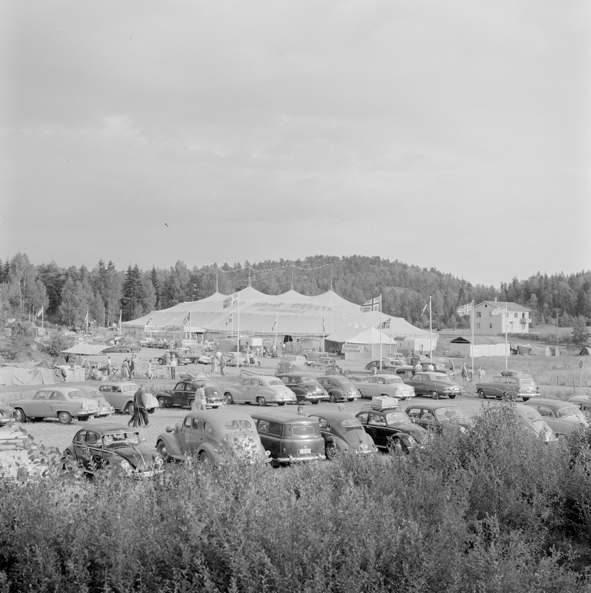 Hvalstrand, badeliv