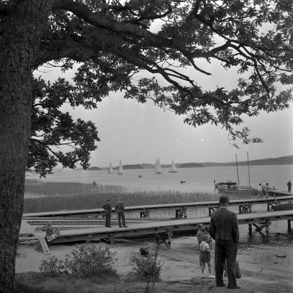 Segeltävling på Lövekullebadet, 1940-talet