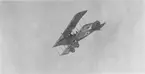 Flygbild av flygplan FVM S 18, maj 1919. Med Ferdinand Cornelius som flygförare.
