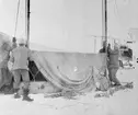 Flygets första tälthangar reses på Flygkompaniet på Malmen, 1916.