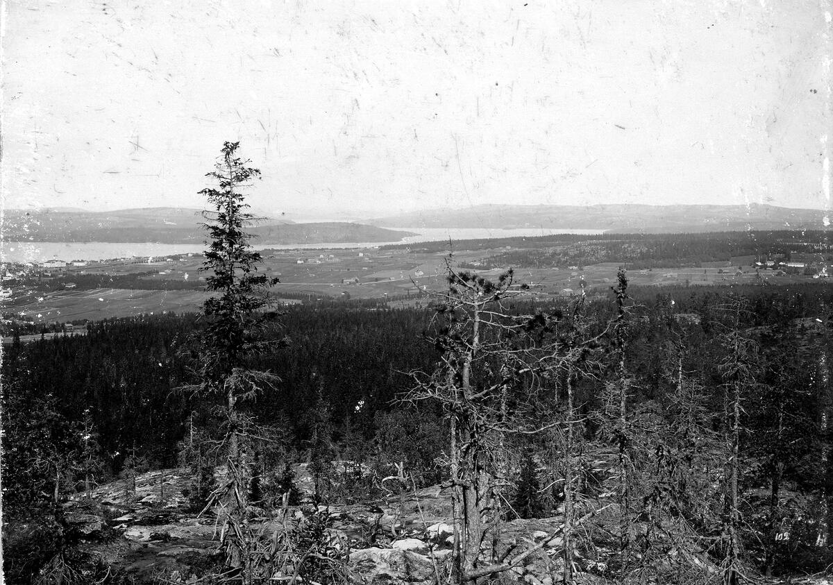 Panoramabild från Vårdkasberget.