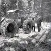 Skogsavverkning i Böda. Skogsmaskinen 