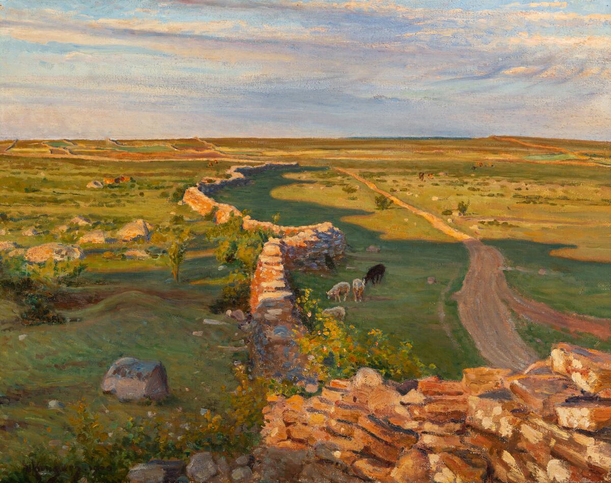 Landskap Alvar Stengärdsgård Får Öland