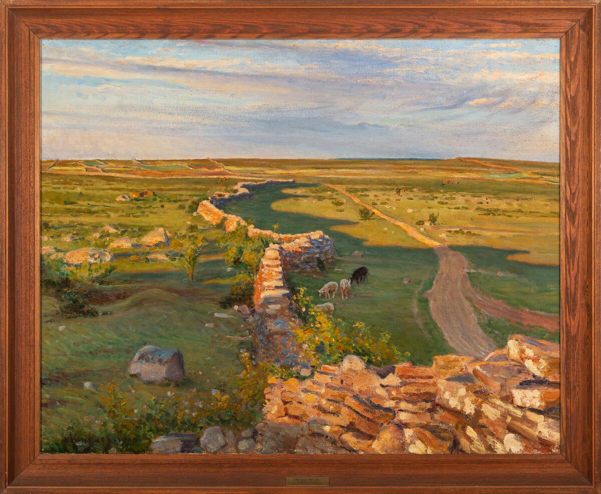 Landskap Alvar Stengärdsgård Får Öland