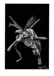 Untitled Labour 01: Ngunia [fotografi]