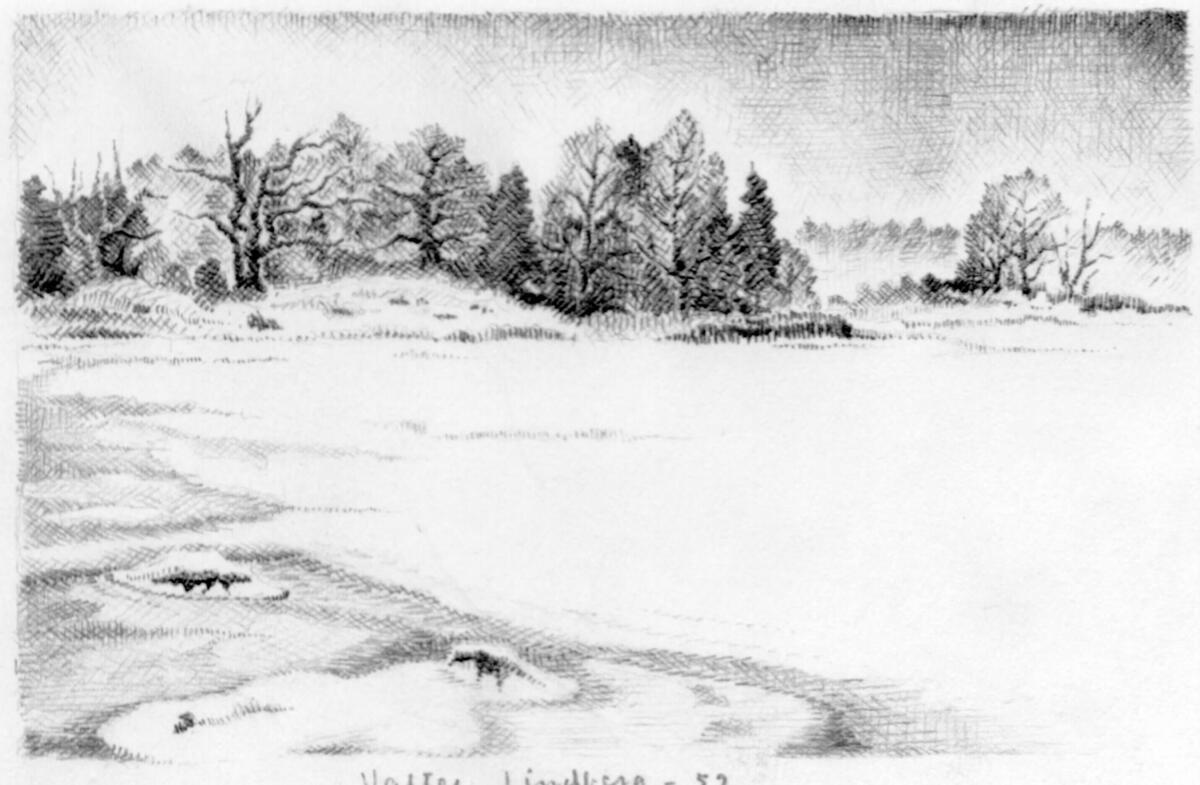 Vinter Is Snö Landskap Åker Skog