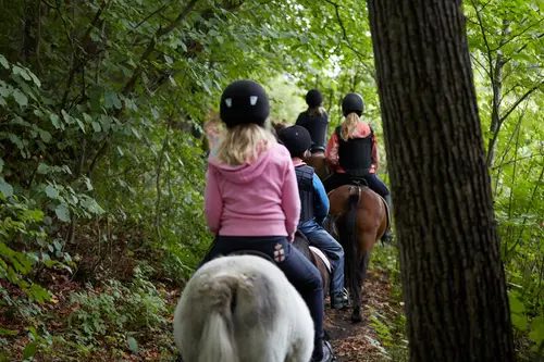 Barn rir på en sti i skogen. 
