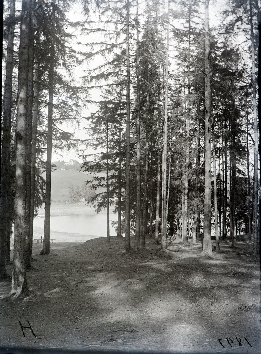 Bildet tatt ute på Hovinsholmen, og opp mot Hovinsholm gård. 1891.