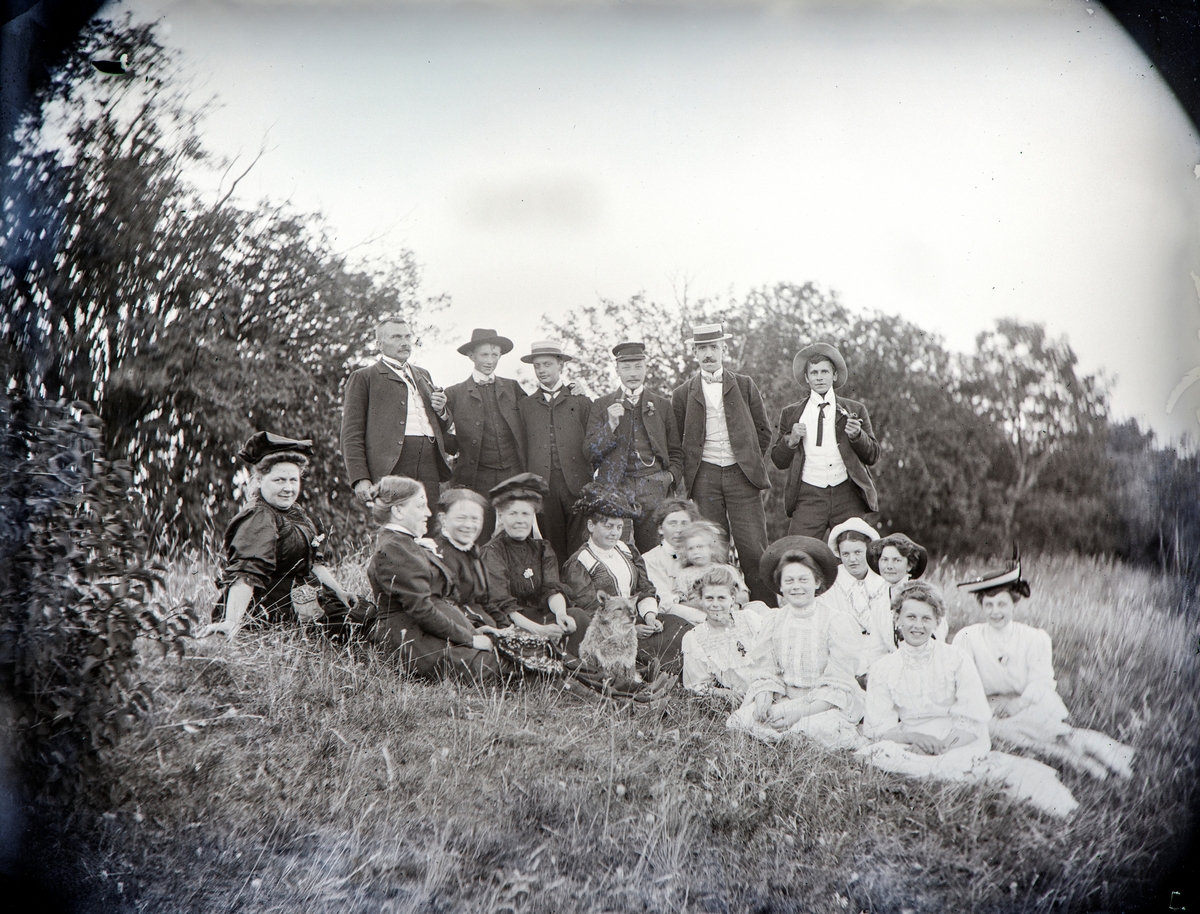 Bilde fra Kapittelbakken på Hovinsholm. Bak fra v: Dr.Paul August Hoel, Hovelsrud, brødrene Karl Arvid og Eivind Olssøn, ukjent, Fredrik Ingier, Jacob Albert Hoel,
Foran fra v: Olga Rømer, gift med Paul August Hoel, Emma Thommesen, ukjent, ukjent, Louise Olssøn, Anna Hoel g. m. Fredrik Ingier med datteren Agnes (Mokis), Thora Hoel (1893-1939), Pauline Augusta Ramm Hoel, Marianne Olssøn, Ragnhild Marie Hoel, Martha Louise Hoel (1892-1888), Ragna Møller (f.1854), søster av Albertine Hoel.