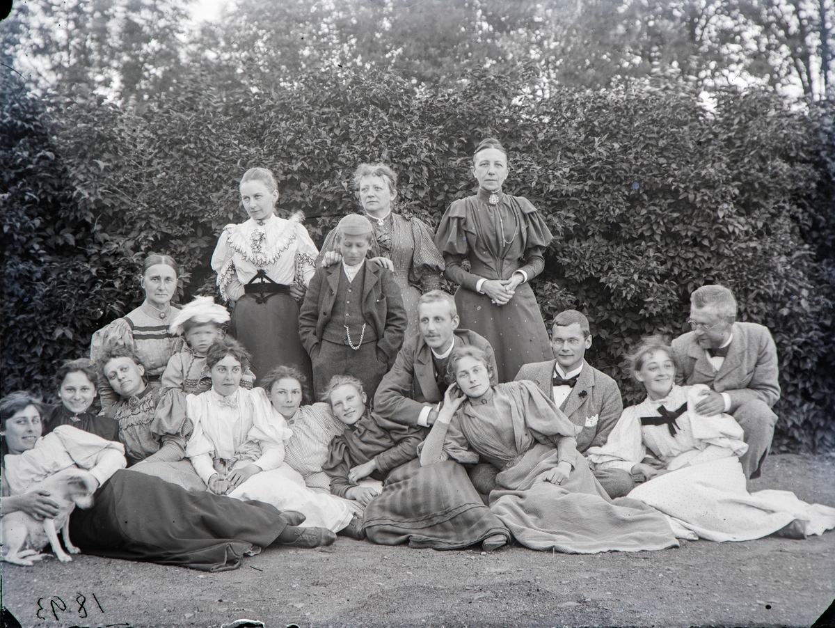 Sommeren 1893 på Hovinsholm: Foran fra v.: Anna Hoel med hunden Kokken, Ragnhild Hoel, Ukjent, Albertine Møller g. Hoel med barnebarnet Martha Louise Hoel (1892–1988), ukjent, Sigrid Pauline Hoel (1880-1954), kusine Marie Hoel, Harald Boe, Louise Ramm Hoel, broren Thorleif Hoel, Agnes Olsen og muligens Per Olsen Strømme (1856–1921) norskamerikansk pastor, lærer, journalist og forfatter på Norgesbesøk fra Chicago.
Bak fra v.: Marie Kobberstad (1865–1960) g. m. Thorleif Hoel, antagelig Christian Møller jr., Marie og Anna Møller, søstre av Albertine.