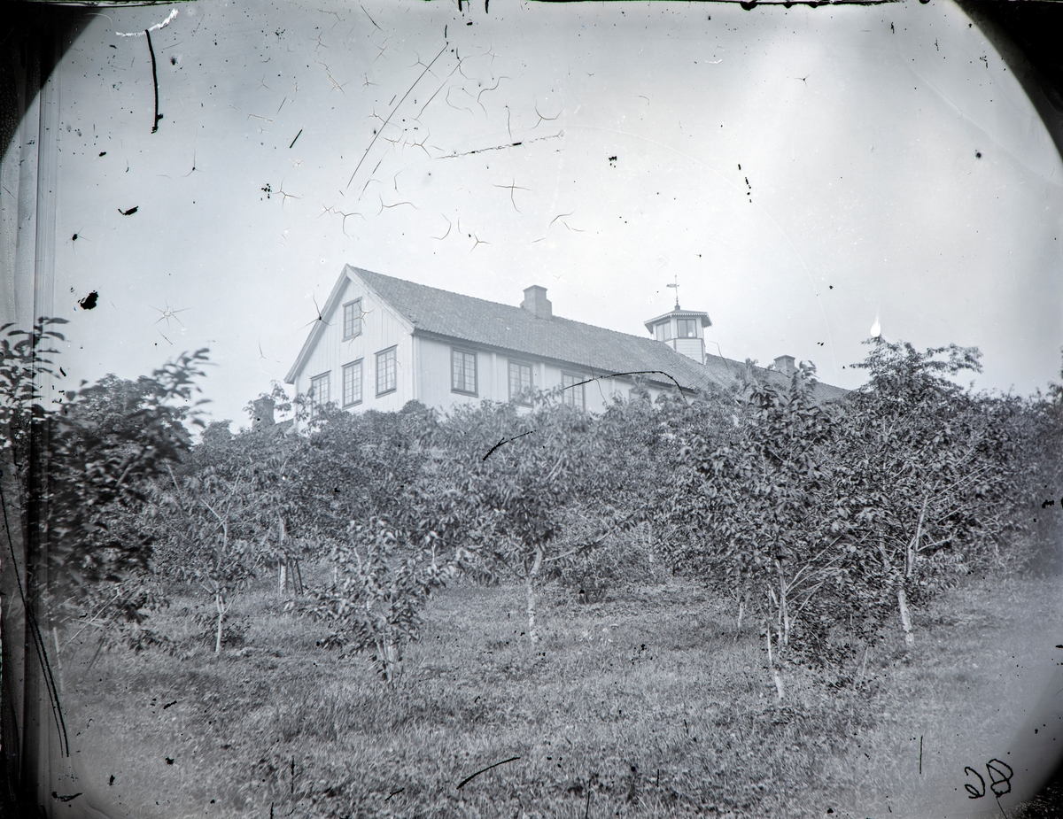 Hovedhuset på Hovinsholm sett nede fra frukt hagen, fra sørøst i 1886.