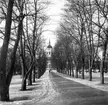 Härnösands Domkyrka.