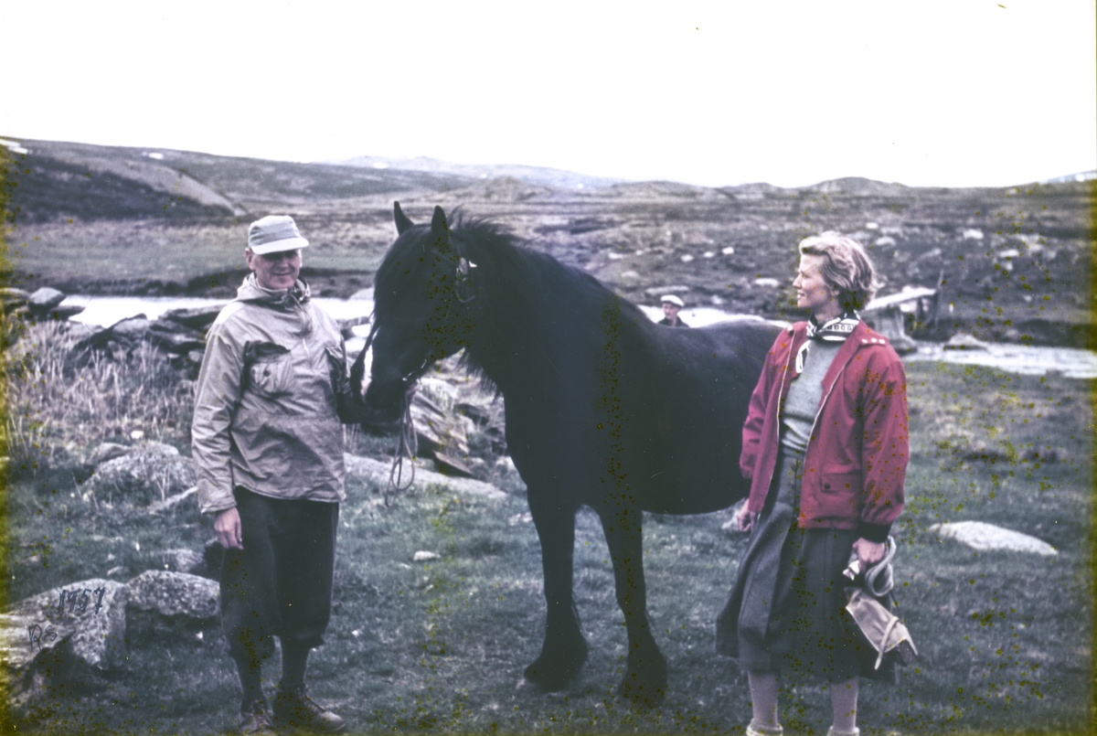 Kvinne og mann med hest