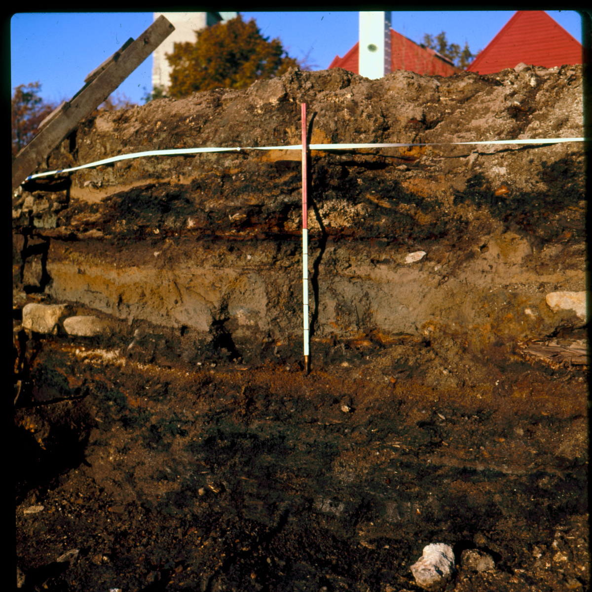 Steinkjeller. Profil langs ca 90y, etter at vestmur er fjernet. Hvitt bånd på +250.