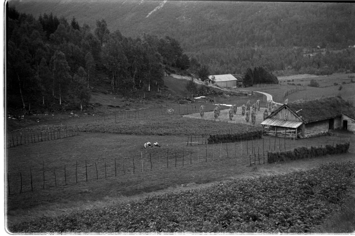 Frøysland i Førde.