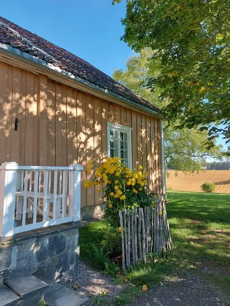 Bildet viser en hage med vakre blomster.