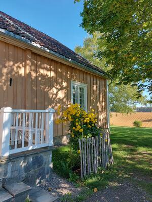 Bildet viser en hage med vakre blomster.