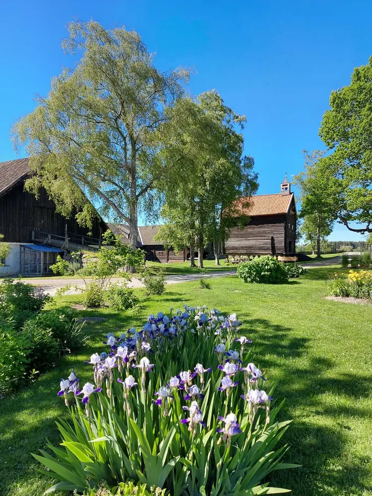Bildet viser en hage med vakre blomster.