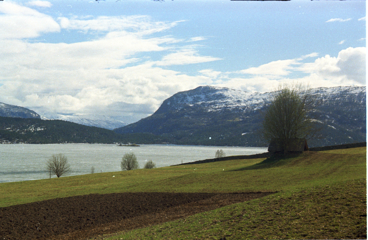 Farvefilm.Beim,Hafslo sogn og prestegjeld,Sogn og Fjordane.Hafslovatnet.