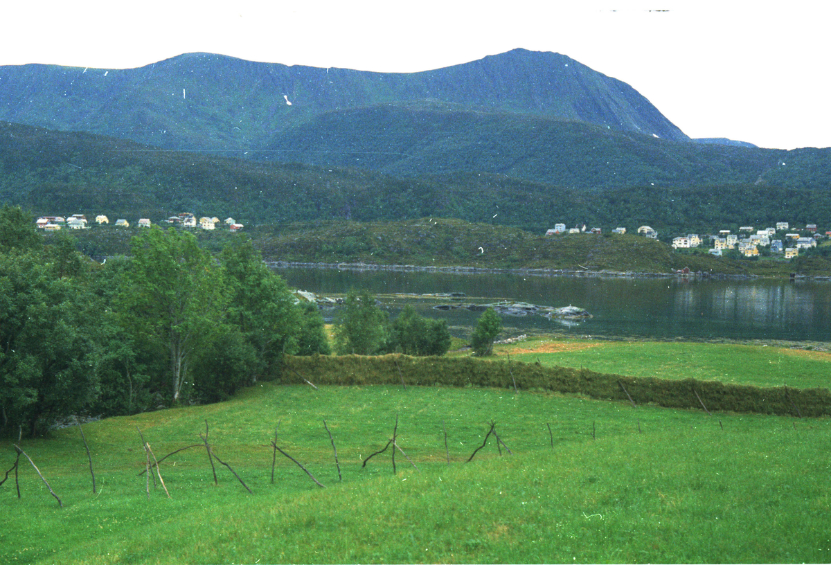 Ringstad, Valne s., Skodje p., Sunnmøre, funnsted for leirkrukke 1962 / ?