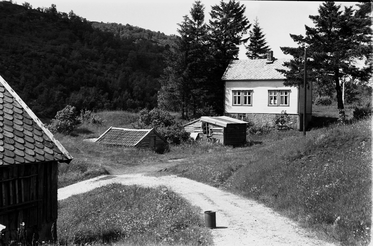 fortsatt Vevle, Gjerstad sogn, Haus prestegjeld, Hordaland. Rutkallen.