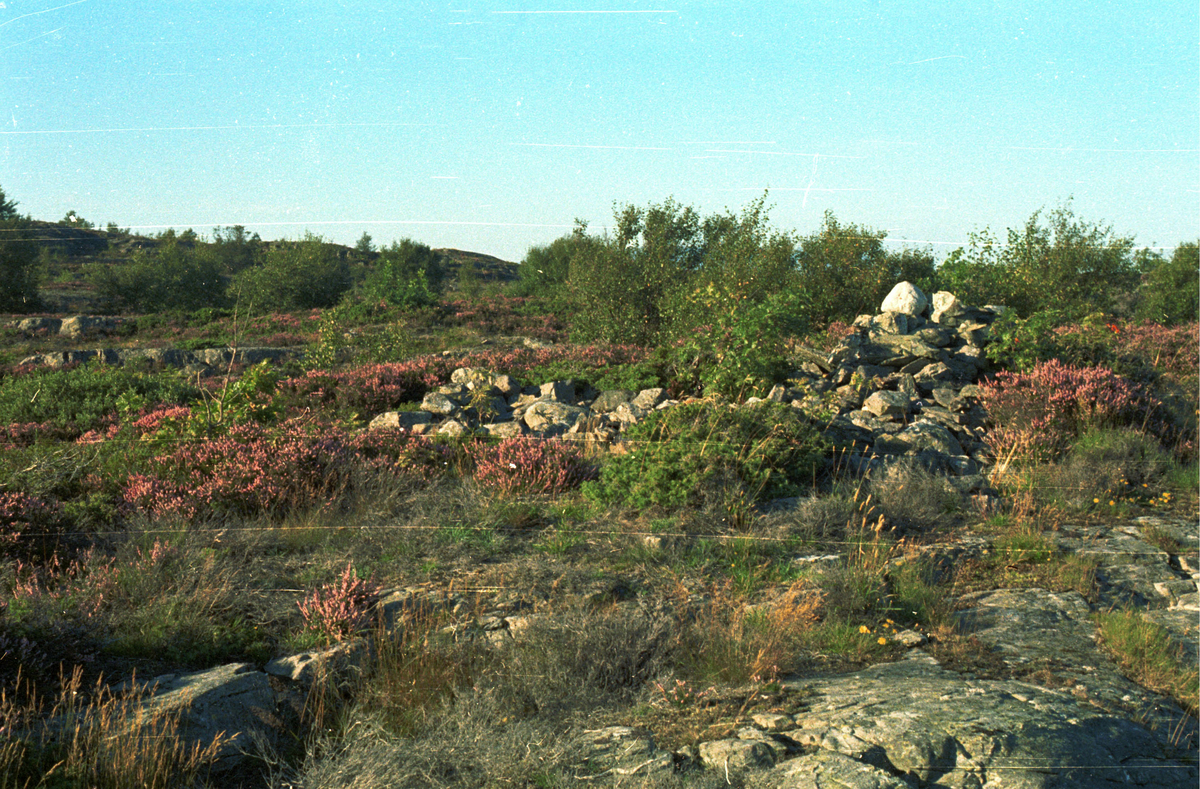 Spissøy, Bømlo, Tangen, fk. nr. 9/1.