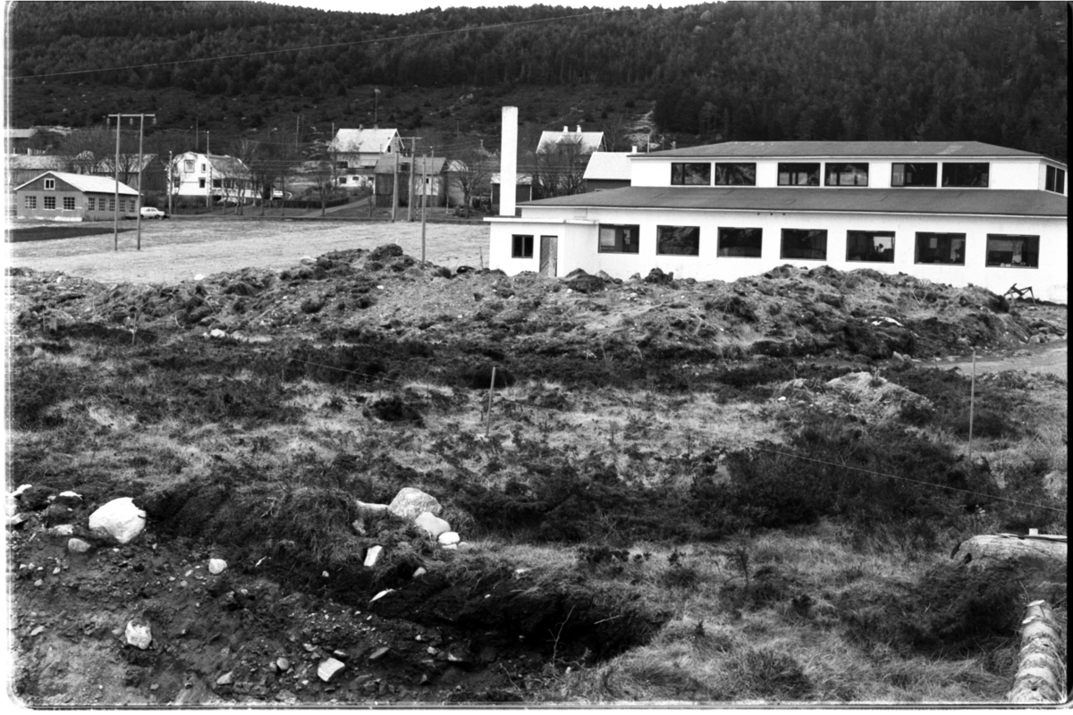 Longva, gnr.8./bnr.35, Haram, Møre og Romsdal. Haug 5/2- 5/3 Innberetning v/ B,Gjeset.
