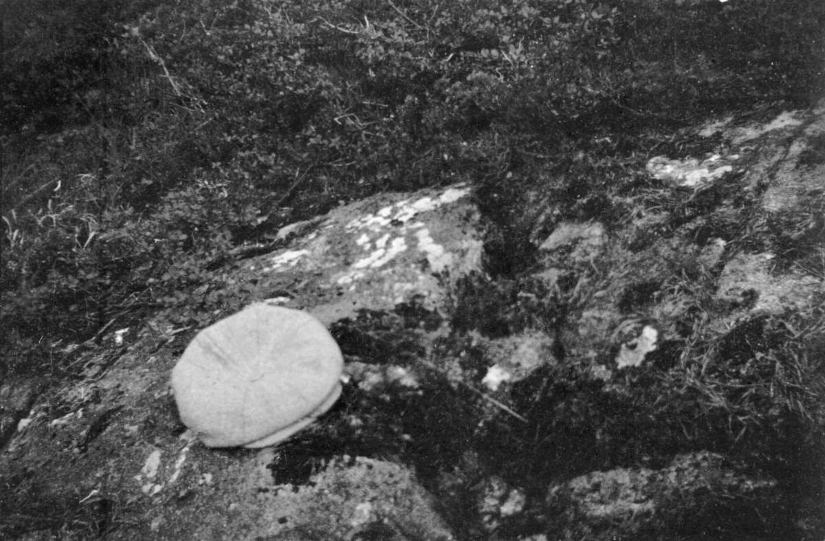 Naturlige hestehov-merker i fjell på Økland, Tysnes. Høsten 1951.